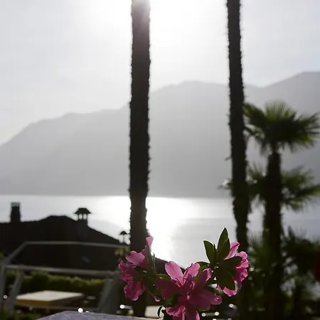 Hotel Primavera