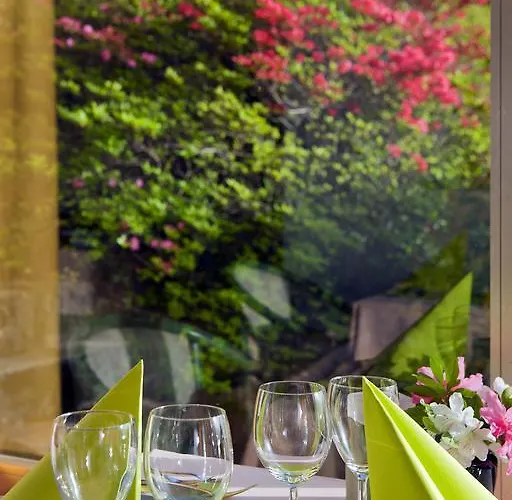 Hotel Primavera Brissago TI